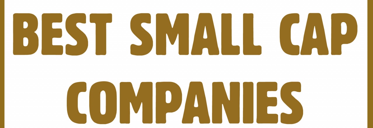 Indonesia Best Managed Company for Small Cap Corporate at Asiamoney Summer Awards 2014